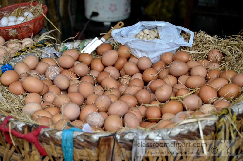 fresh-small-eggs-in-wicker-baskets-for-sale-market-photo-image-53.jpg