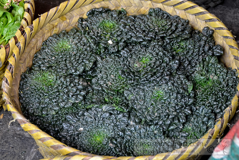 wicker-basket-full-of-green-vegetable-at-market-photo-image-25.jpg