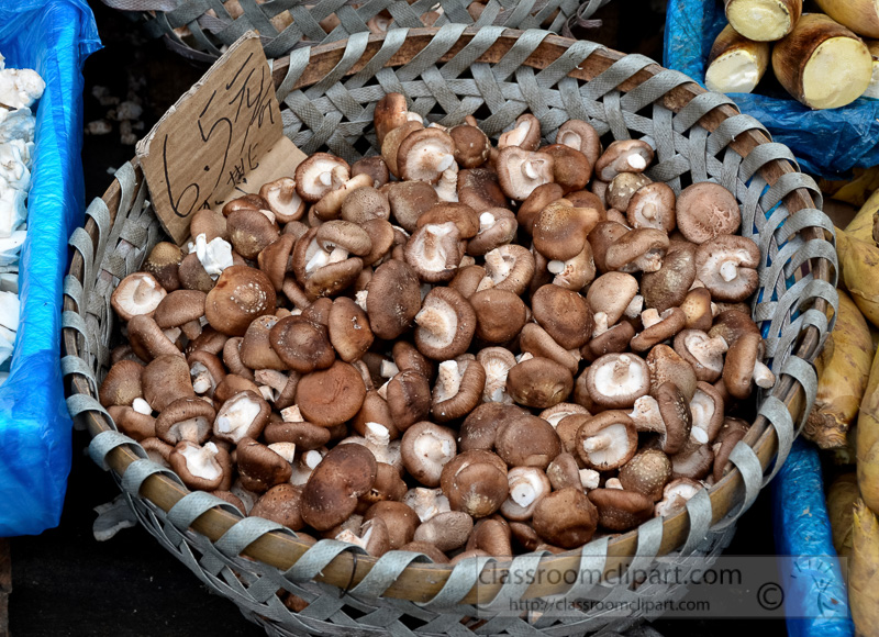 wicker-basket-full-of-mushrooms-at-market-photo-image-26.jpg