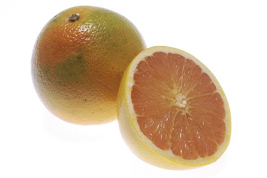 grapefruitA.jpg