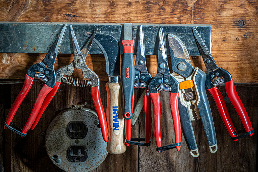 variety-of-hand-tools-used-at-a-farm.jpg