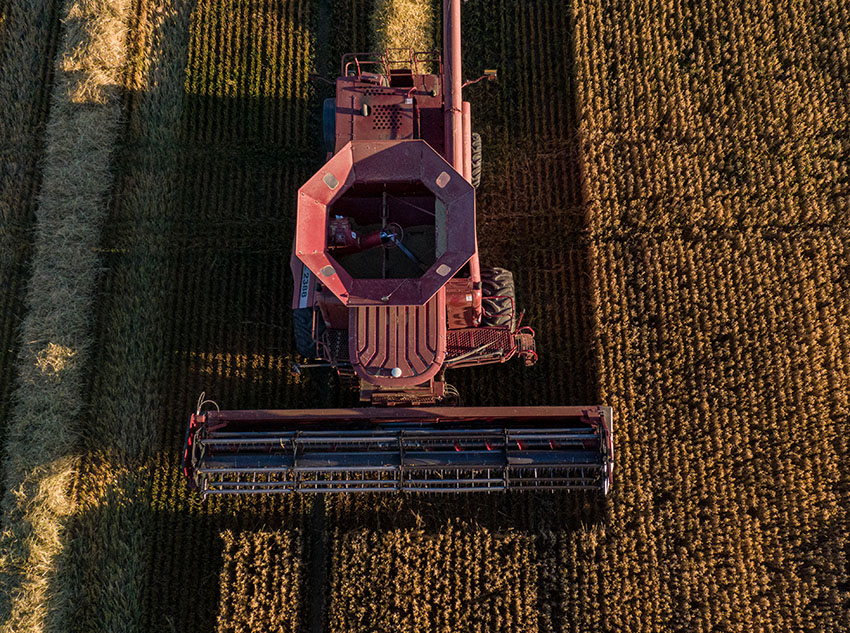 aerial-view-of-combine-harvester-in-wheat-fields.jpg