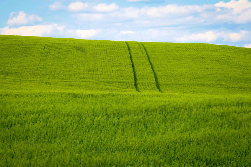 green-farmland-harvests-hay.jpg