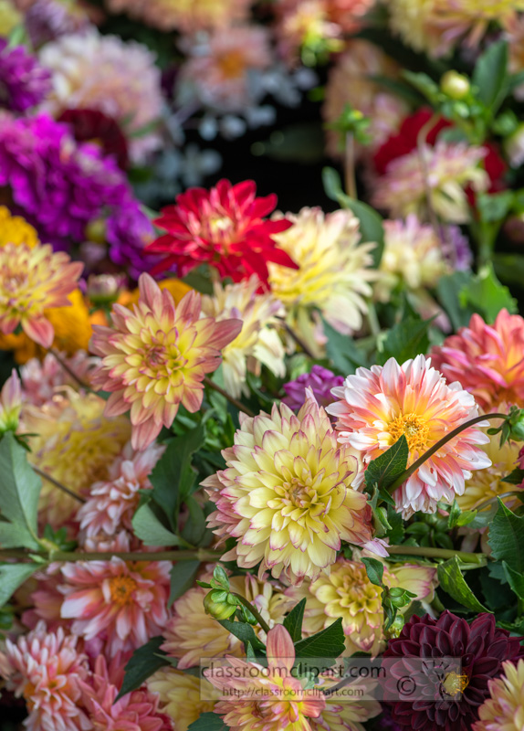 bouquet-of-beautiful-multi-colored-garden-flowers-0170.jpg