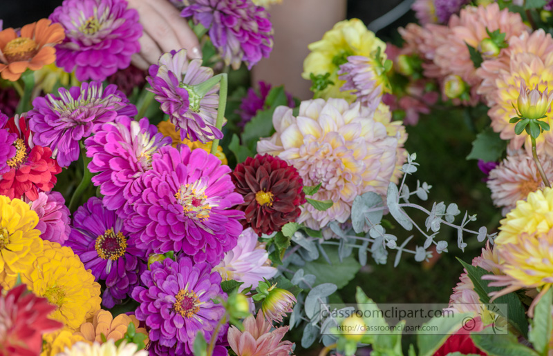 close-up-of-a-colorful-assortment-of-flowers-for-sale-00171.jpg