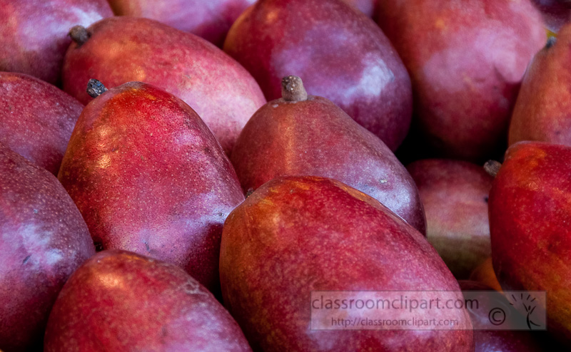 closeup-red-barlett-pears-at-farmers-market-photo-image-573b.jpg