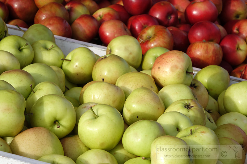 photo-green-red-apples-at-market-2548.jpg