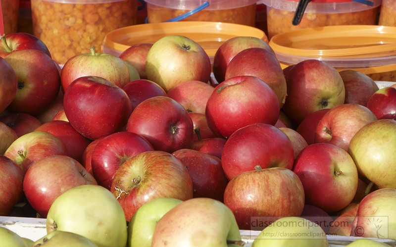 photo-red-green-apples-freshly-picked-image2549.jpg