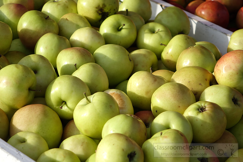 picture-green-apples-at-market-fruit-image545a.jpg