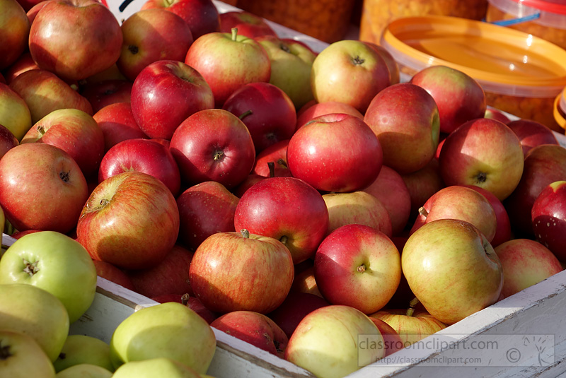 picture-red-green-yellow-apples-image-2546a.jpg