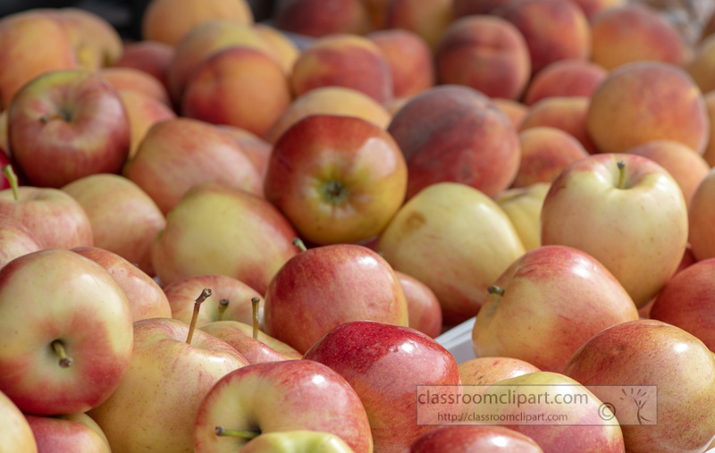 red-and-yellow-apples-at-the-farmers-market-500135.jpg