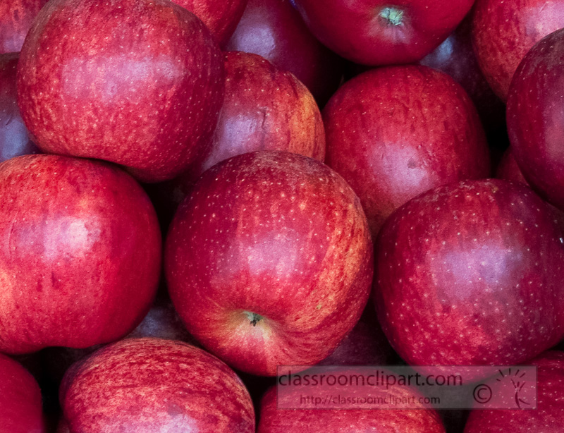red-apples-closetup-at-market-photo-image-570c.jpg