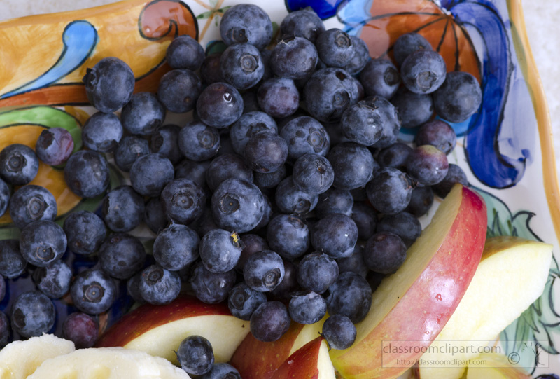 blueberries-on-a-plate-picture-image_3000.jpg