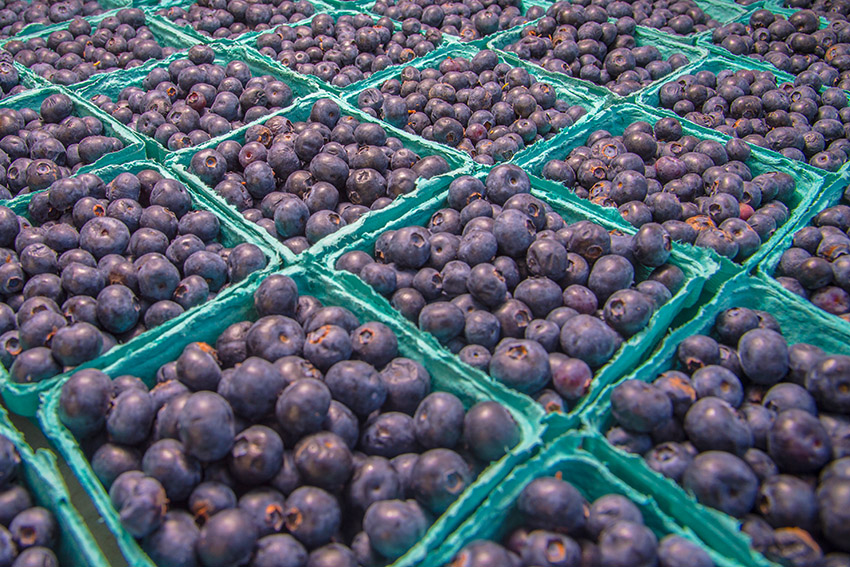 fresh-blueberries-in-baskets.jpg