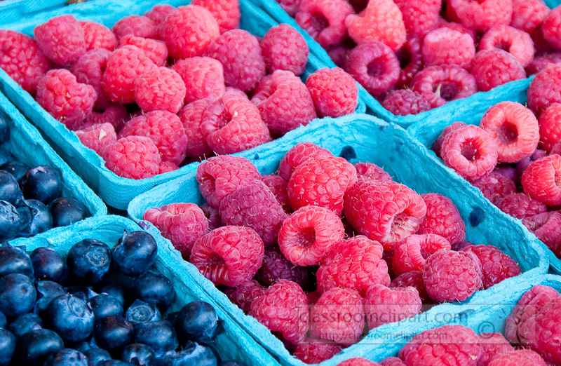 trays-blueberries-raspberries-farmers-market-photo-image-584b.jpg