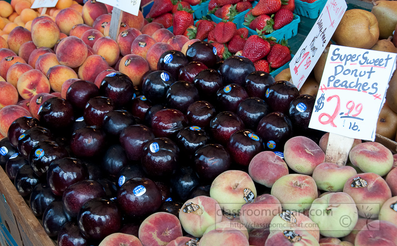 fresh-dark-plums-for-sale-596.jpg