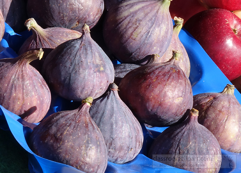 photo-closeup-fresh-figs-image2634.jpg