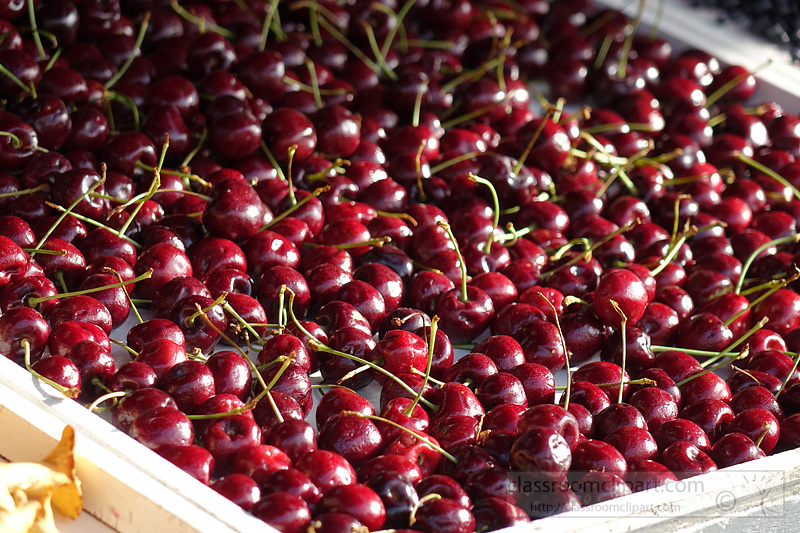 photo-fresh-cherries-at-market-for-sale-image2525.jpg