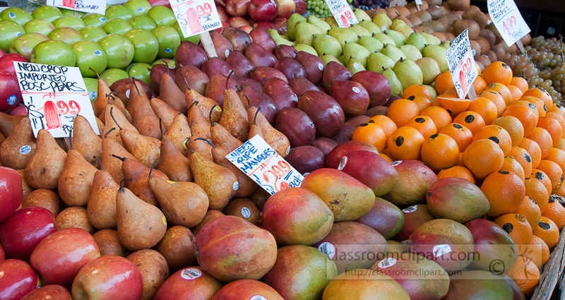 wide-view-shot-variety-fresh-fruit-photo-image-576.jpg