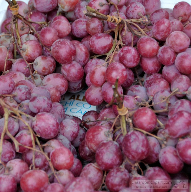 closeup-bunch-purple-grapes-image-222.jpg