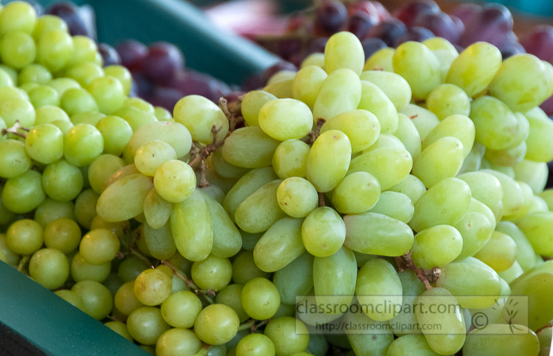 fresh-green-grapes-at-market-photo-image-592.jpg