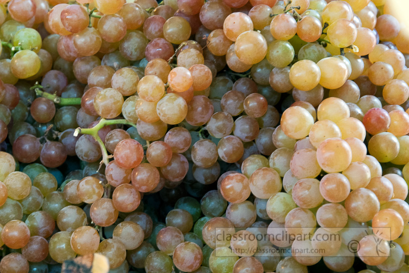 muscat-grapes-at-farmers-market-photo-image-597.jpg