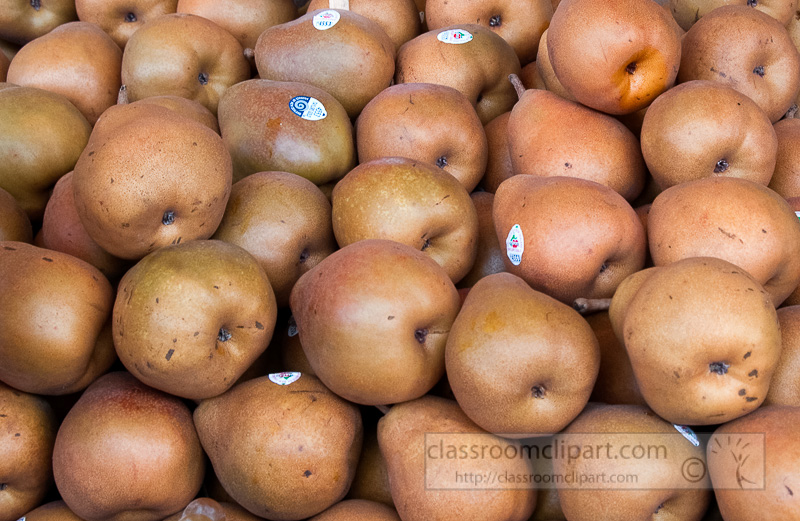 brown-pears-fresh-farmers-market-photo-image-580.jpg