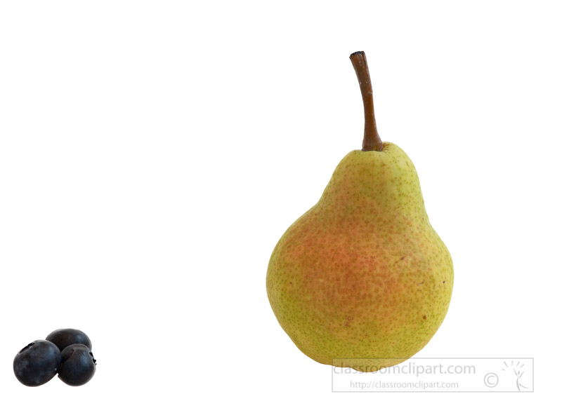 single-upright-pear-with-white-background-photo-image-6146-pear.jpg