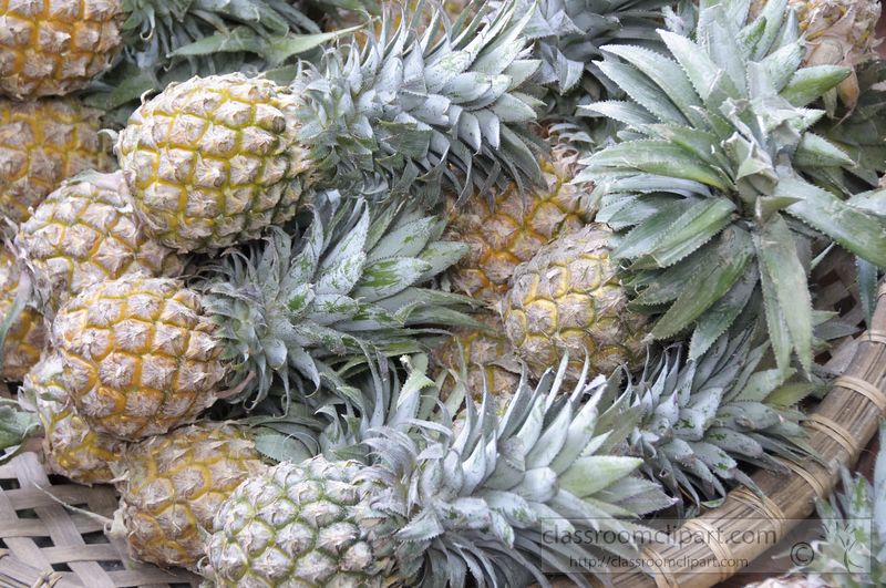 a-basketful-of-pineapples-photo-image-9181-2.jpg