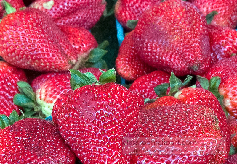 closeup-fresh-strawberries-at-market-seattle-washington-photo-image-581b.jpg