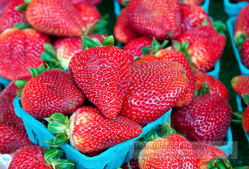 fresh-strawberries-at-farmers-market-photo-image-582.jpg