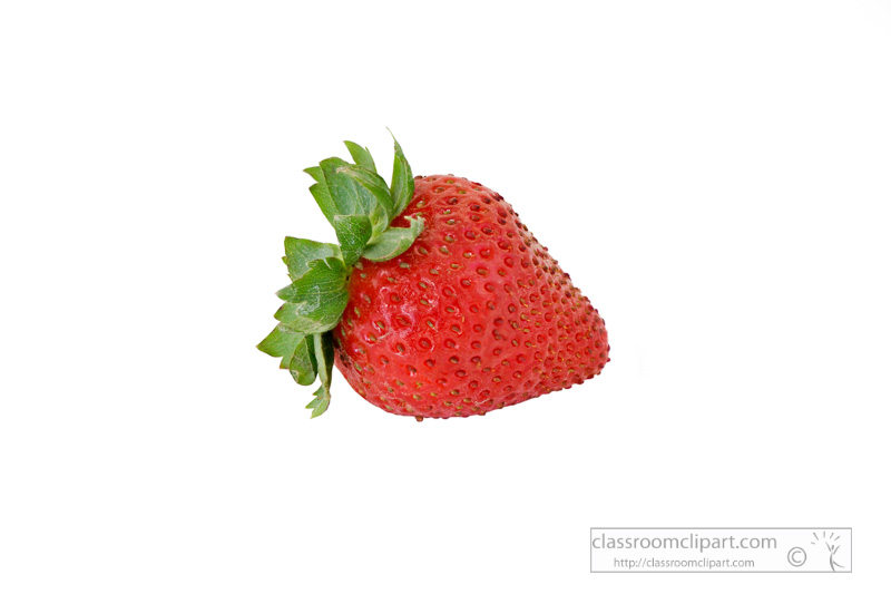 photo-image-single-strawberry-on-white-background-2.jpg