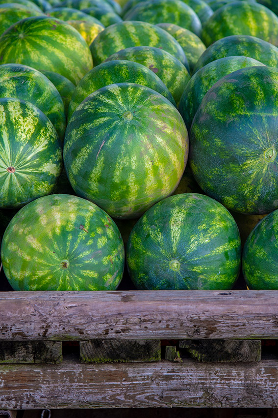 pile-of-harvested-watermelon--in-wooden-crate.jpg