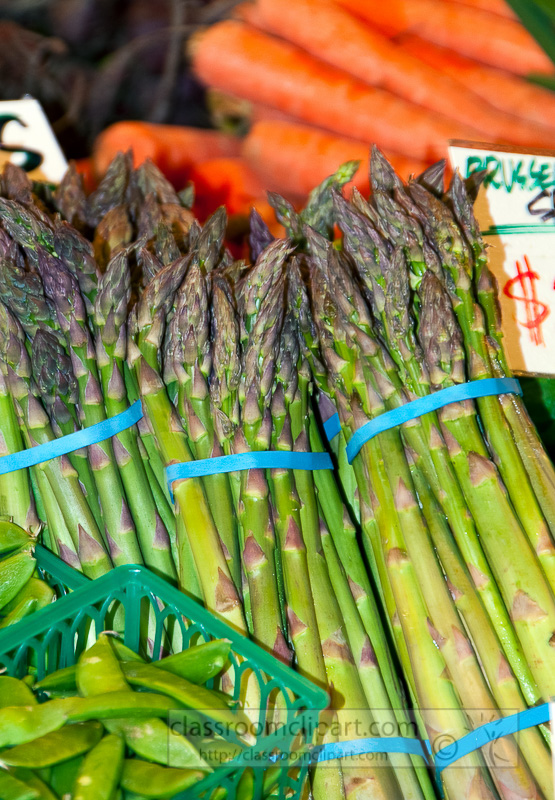 asparagus-other-vegetables-at-market-photo-image-537.jpg