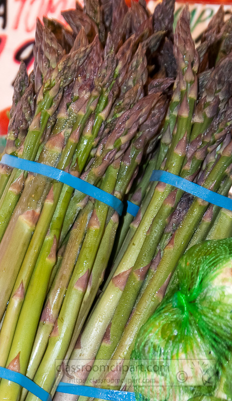 asparagus-other-vegetables-at-market-photo-image-542b.jpg