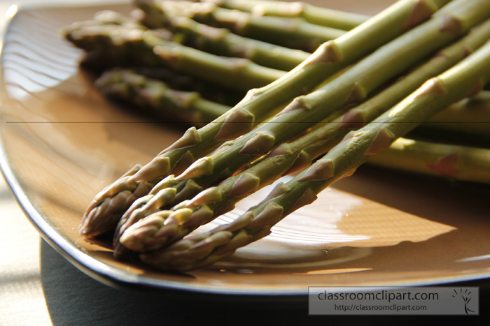 asparagus_on_plate_236.jpg