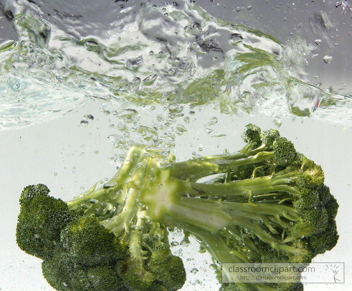 broccoli_in_water_90.jpg