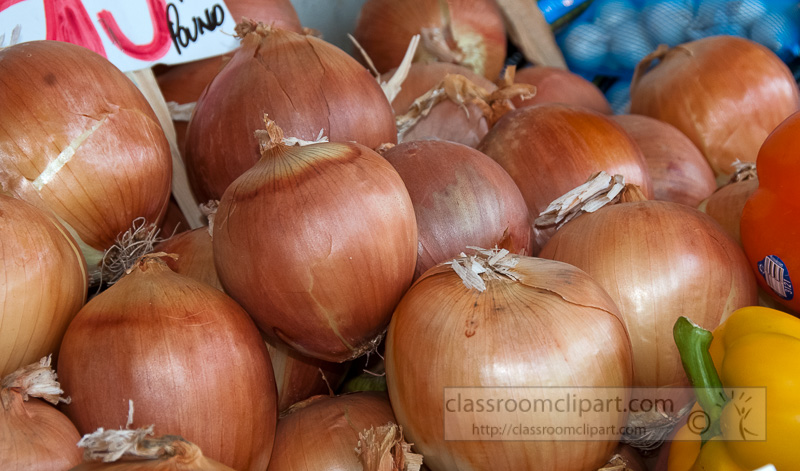 brown-onions-at-market-photo-image-549.jpg