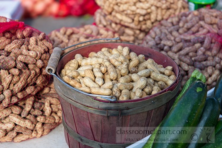 bucket-of-fresh-peanuts-at-farmer-market-1083.jpg