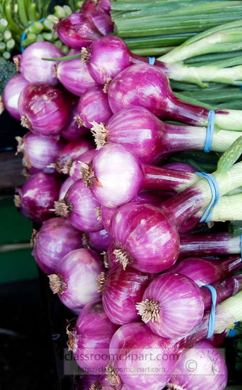 bunches-of-purple-onions-at-farmers-market-photo-image-562.jpg