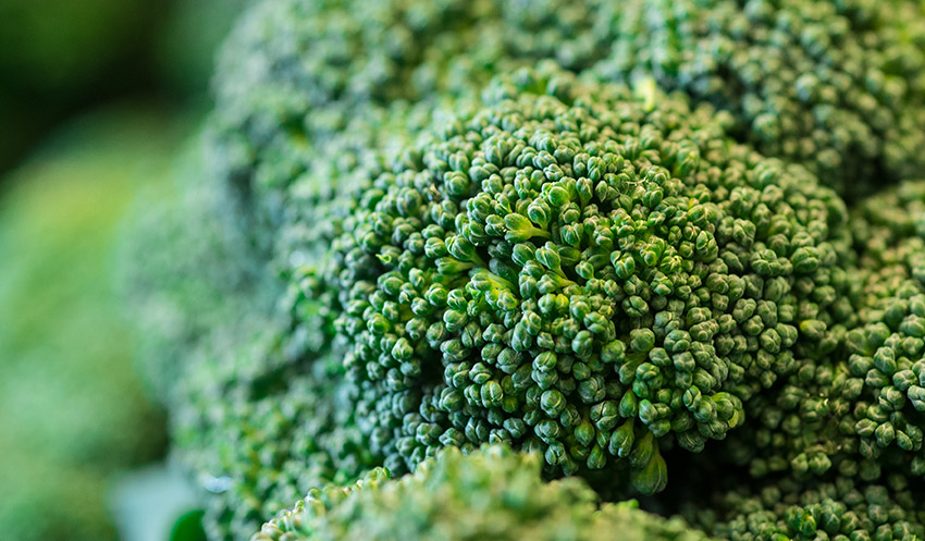 closeup-of-fresh-organic-broccoli.jpg