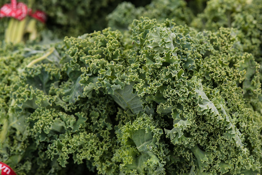 closeup-organic-curly-kale.jpg