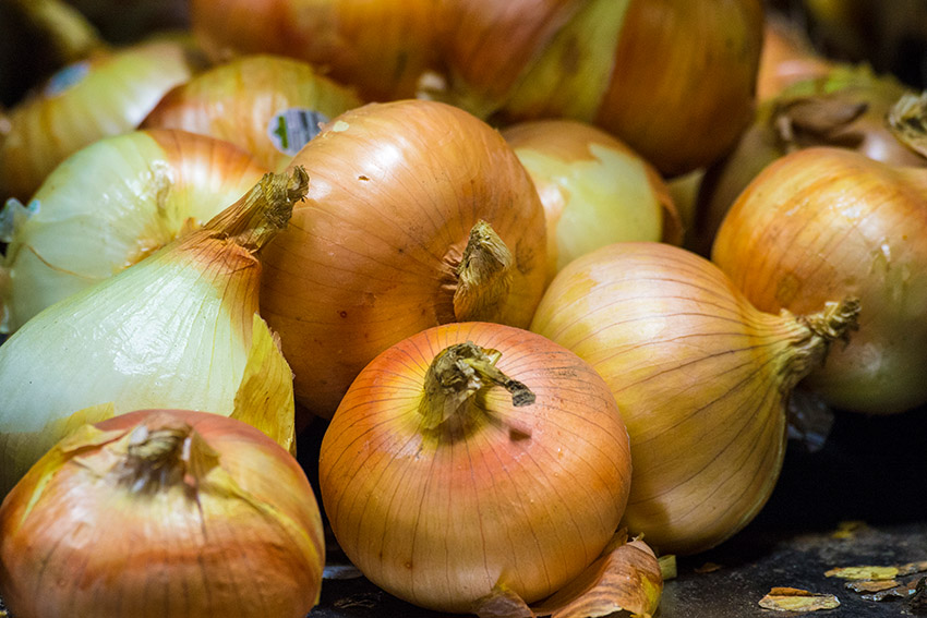 closeup-vidallai-onions-on-farm.jpg