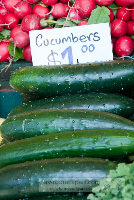 cucumbers-for-sale-washington-state-603.jpg