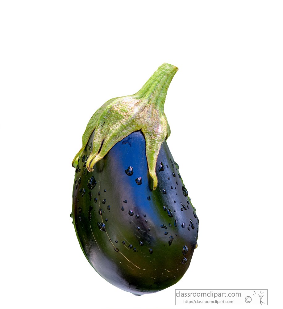 eggplant-on-white-background.jpg