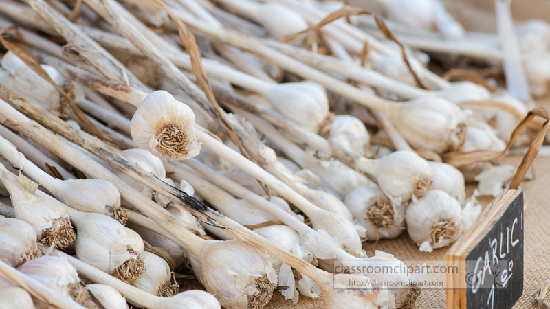 fresh-garlic-on-display-at-a-farmers-market-00176.jpg