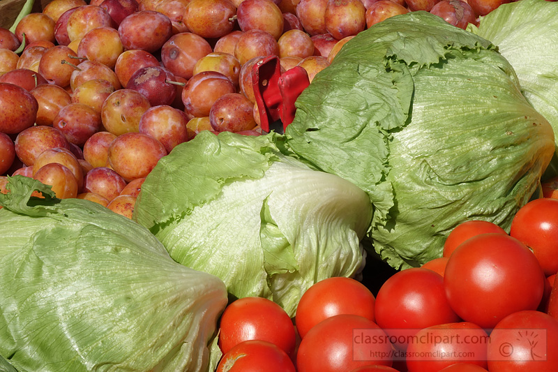 photo-heads-iceberg-lettuce-with-tomatoes-2625.jpg