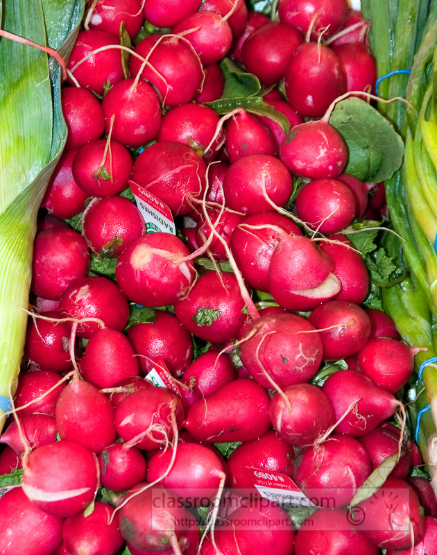radishes-at-market-photo-image-539.jpg