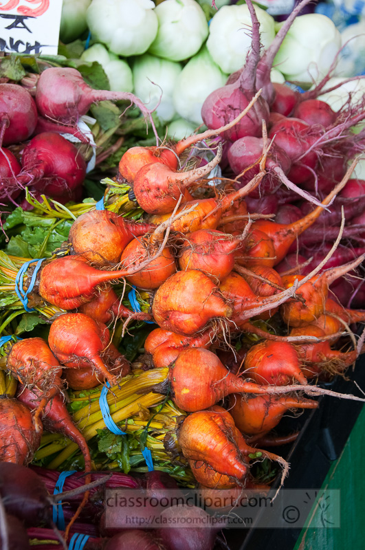 types-red-orange-beets-freshly-picked-at-farmers-market-photo-image-645.jpg