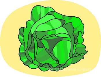 cabbage1.jpg